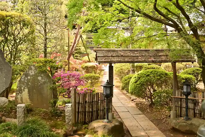 岩殿山安楽寺(吉見観音)(埼玉県)