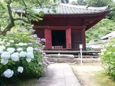 本光寺の本殿・本堂