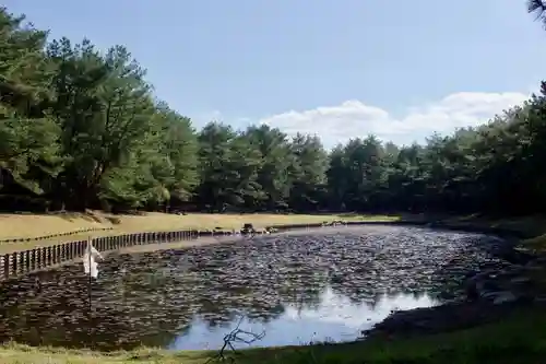 江田神社の庭園