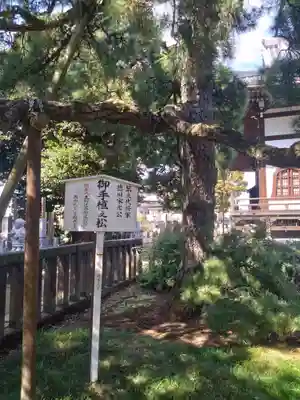 国土安穏寺(東京都)