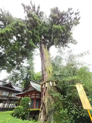 香取神宮(千葉県)