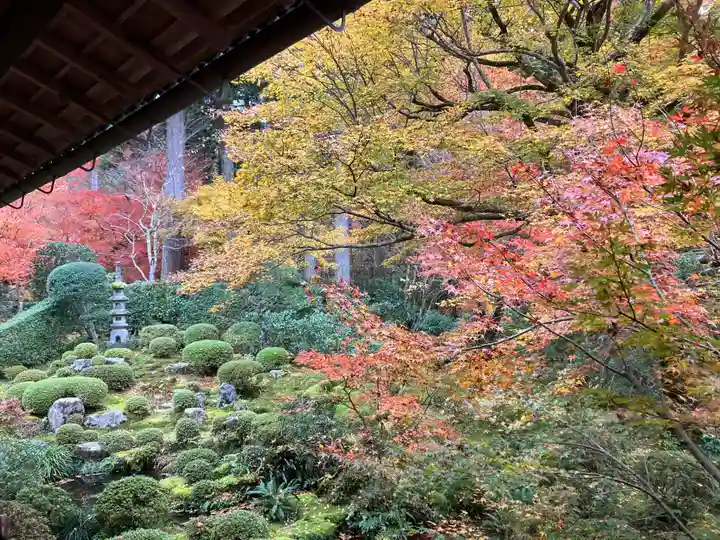 三千院門跡(京都府)