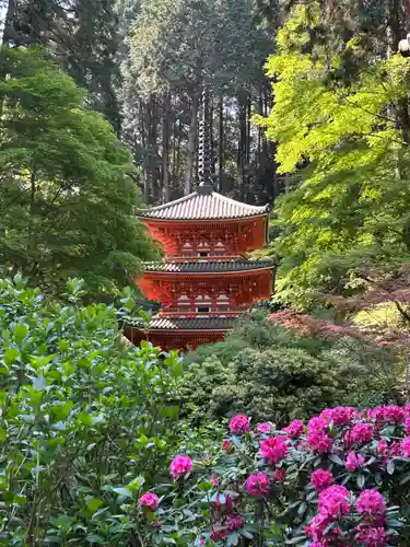 岩船寺(京都府)
