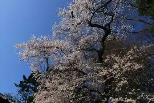 田村神社の自然