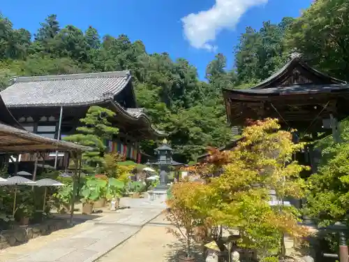 岡寺（龍蓋寺）(奈良県)