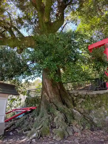 真巌寺(三重県)