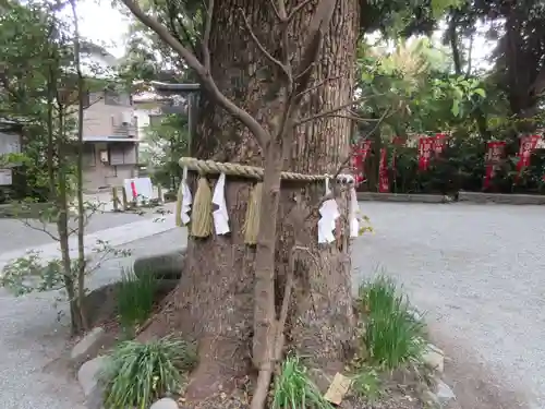 八雲神社の庭園