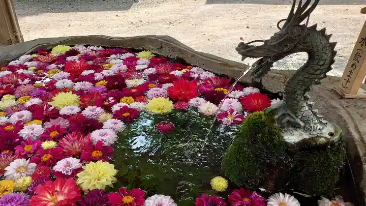 嵐山瀧神社の手水舎