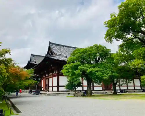 東寺（教王護国寺）(京都府)