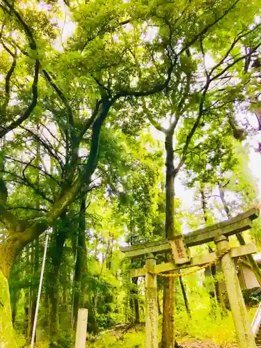 飯名神社の鳥居