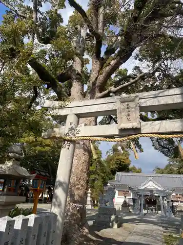 矢代寸神社の鳥居