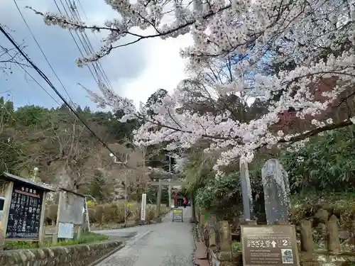 宇賀神堂の鳥居