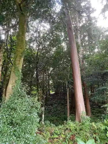 粟鹿神社(兵庫県)