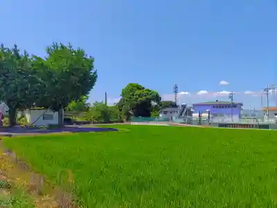 神明社(甲新田須賀北)の自然