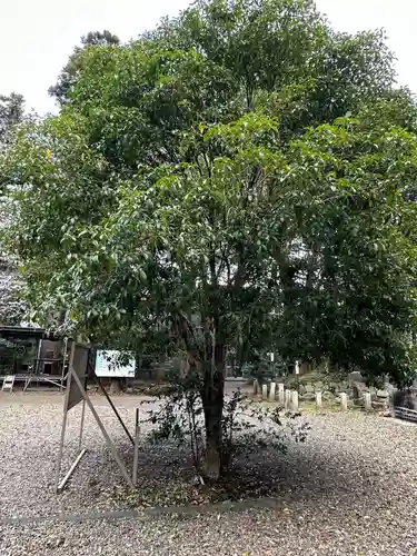 柴崎神社(千葉県)
