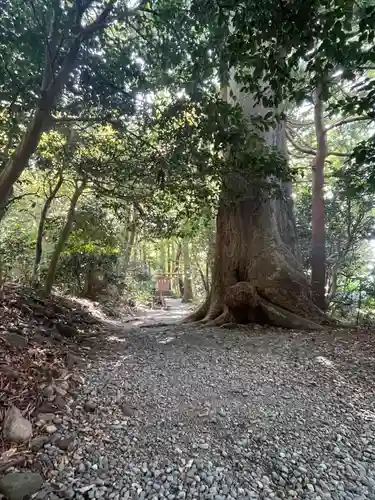 祓戸神社(新潟県)