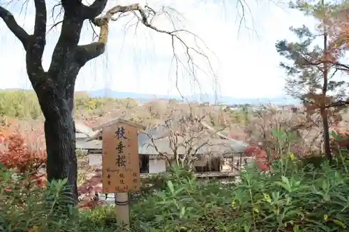 天龍寺(京都府)