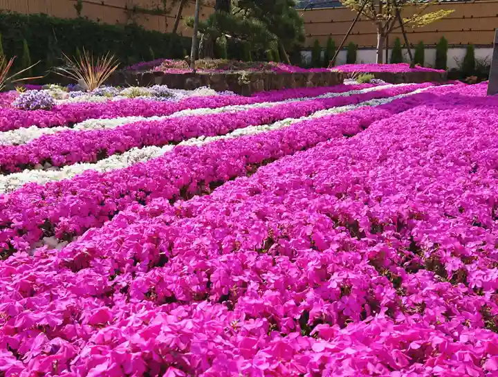 寿量山 速成寺の庭園