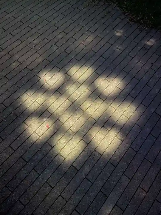 平等寺(徳島県)