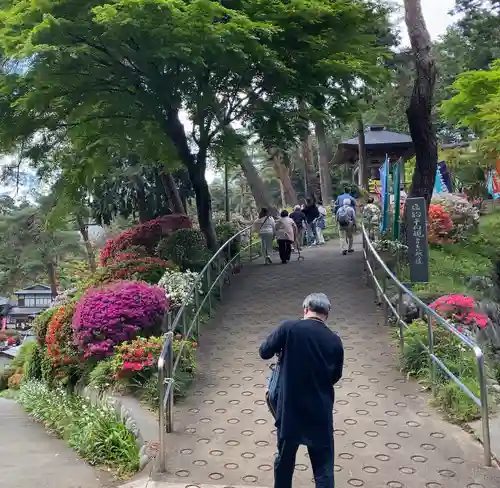 塩船観音寺(東京都)