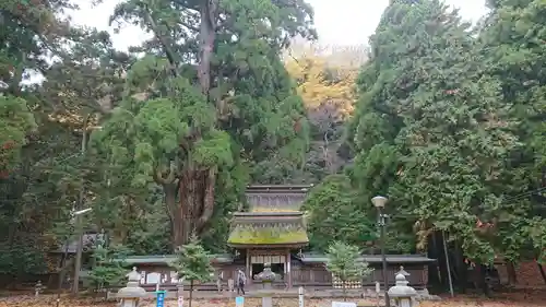 若狭姫神社（若狭彦神社下社）の建物その他