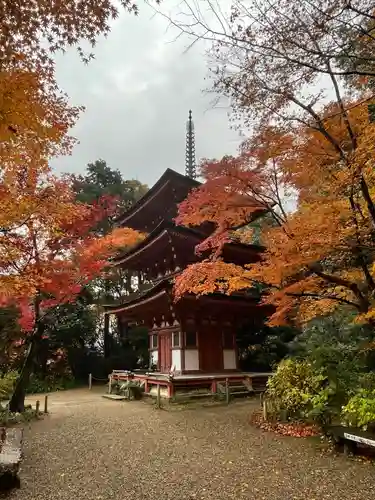 浄瑠璃寺の建物その他