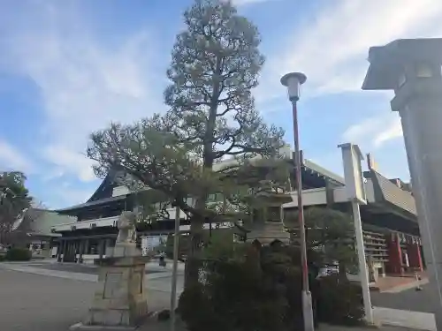 成田山大阪別院　明王院(大阪府)