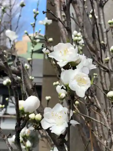 小野照崎神社の自然
