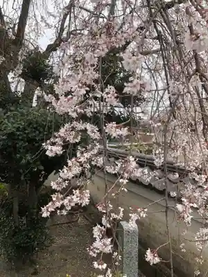 瑞泉寺の御朱印