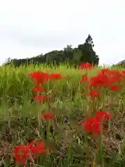 斑鳩神社の自然