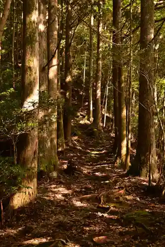 地福寺(高知県)