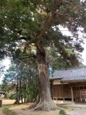 辛神社(千葉県)