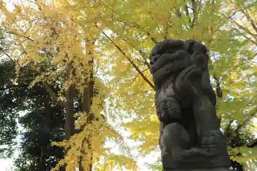 熊野福藏神社の狛犬