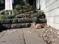居木神社の動物