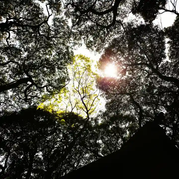 沼尾神社の自然
