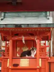 水野社の動物