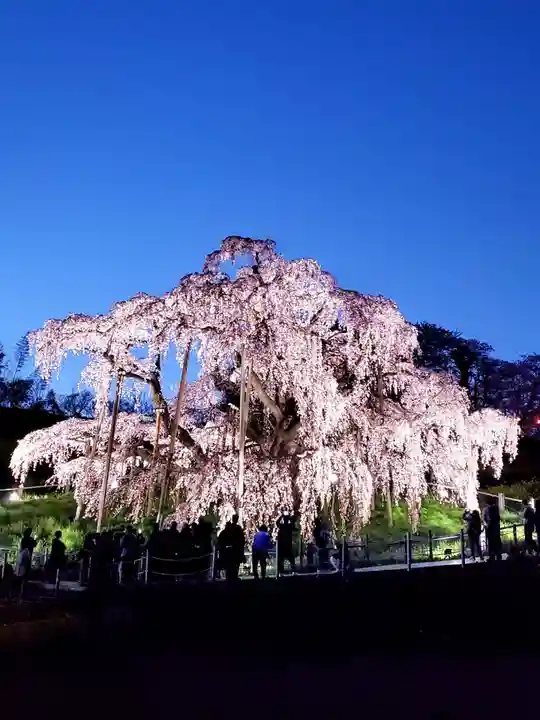 瀧桜神明宮(福島県)