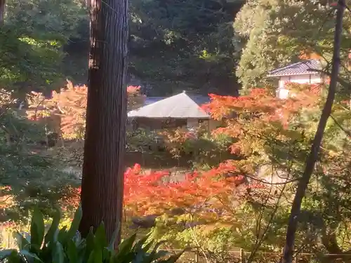 円覚寺(神奈川県)