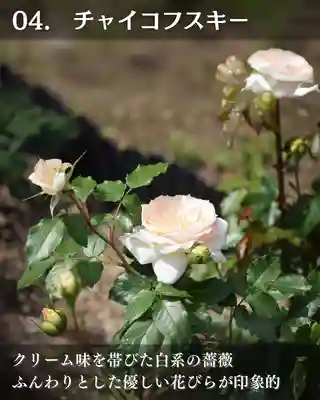 宝光寺(北海道)