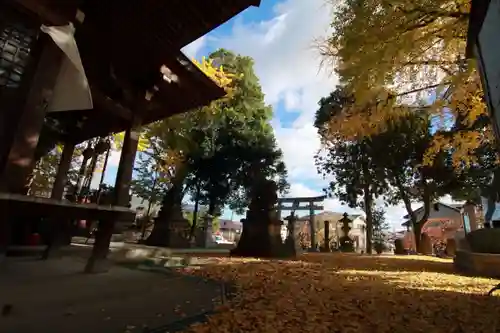 熊野福藏神社の景色