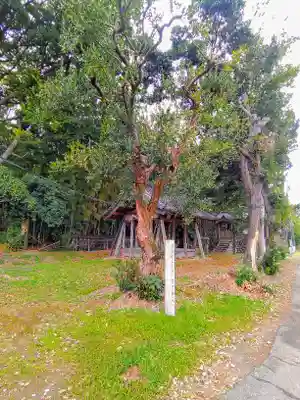 白山社（丹陽町九日市場）の自然