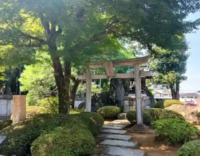 白山神社(埼玉県)