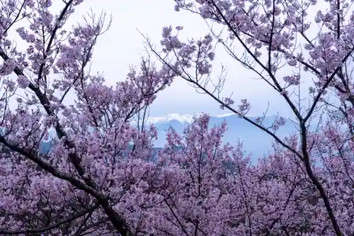 新城藤原神社(長野県)