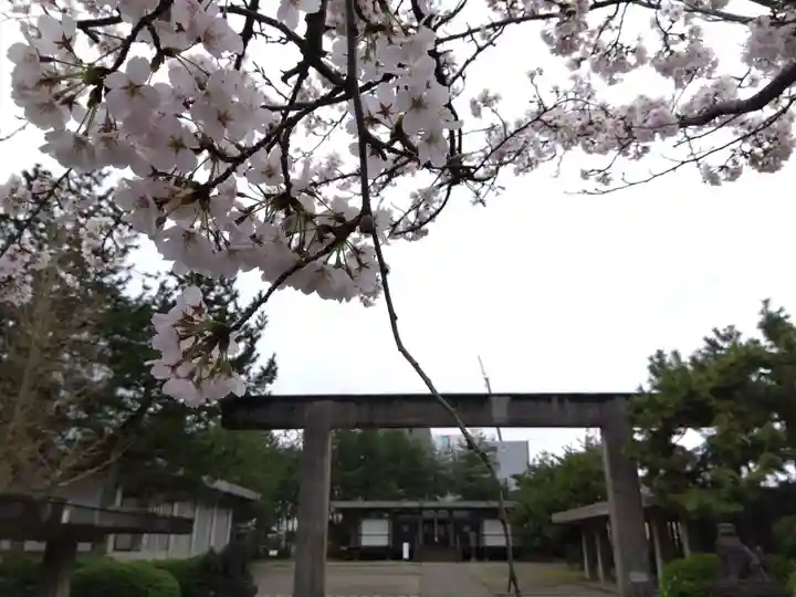 福井神社(福井県)