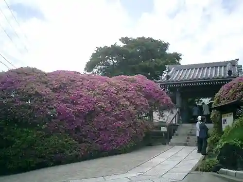 安養院　(田代寺）の山門