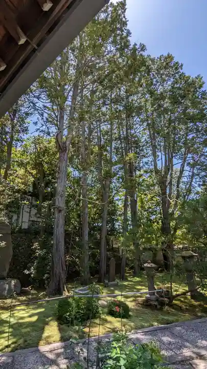 明暗寺(京都府)