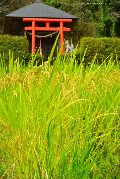 熊野神社(神奈川県)