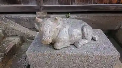 赤羽八幡神社の狛犬