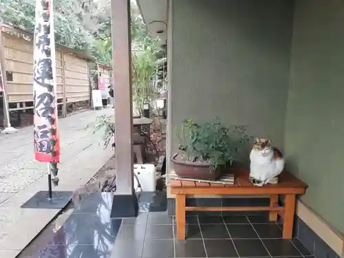 戸越八幡神社の動物