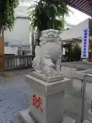 長浦神社の狛犬